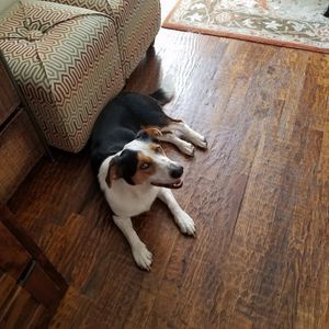 Meet your Posher, Walton